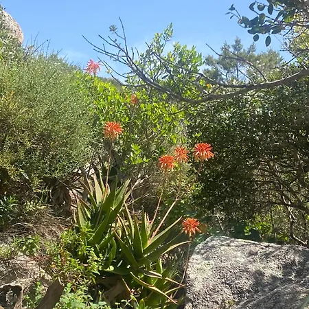 Blue Sardinia House Rena Majore